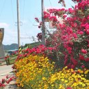 홍천동키마을 이미지