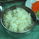 싱그랭이 이미지