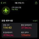 피티데이 이미지