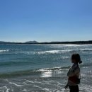 M.하얀집 이미지