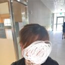 섬이보인다