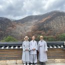 불탄 고운사를 둘러보고-독수리 눈으로 중창될 절 집을 조감하네 이미지