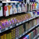 부산강아지분양 고양이분양 베스트펫 본점 이미지