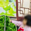 신나는어린이집 이미지