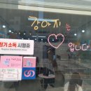 퍼피루미 옥정점 이미지