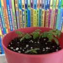 오서2천 이미지