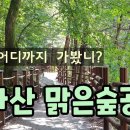 2024/06/23(일) 바라산 맑음숲공원 ~ 바라산 자연휴양림 이미지