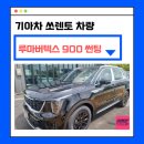 카프로스 이미지