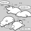 노티드제주애월