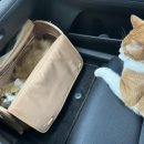 와우종합동물병원 이미지