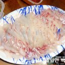 주현수산 - 김해시 김해대로 464-35 | 서천수산물특화시장 활어회 구매 후기 / 정직한 주현수산(내돈내산)