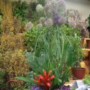 성전2호 이미지