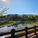 강남동산어린이집 | [5월 일상] 서울 근교 당일치기 여행 포천 서운 동산 아기랑
