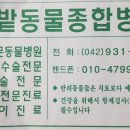 한밭 동물병원 이미지