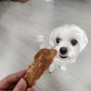 (주)펫앤펫츠 | 반려견간식 애견간식 동결건조간식 펫츠펫