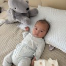 한식뷔페다미 | [내돈내산] 가성비 성장앨범 테마사진관 솔직후기