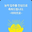 섬강자전거길(섬강살리기) | [아마프로 라이딩 후기] 원주 라이딩 feat 농막라이딩