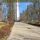 명품꽃마을 이미지