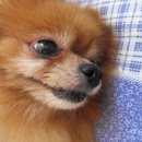 용문시장 이미지