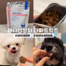 애니랩 알파 네이버블로그