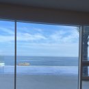 미니 앤 바니 애견샵 | 경주애견동반숙소 샵앤플렛 풀빌라호텔 가격,할인정보,풀장 후기,바베큐장 이용 정보 ft.오션뷰 포토존...