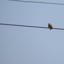 넥스트환경 이미지