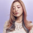 쉐리헤어