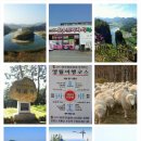 제천소백산한우 네이버블로그