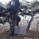 금남 경로당 이미지