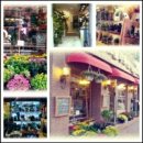 월드플라워 이미지