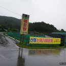 산정논메기매운탕식당 이미지