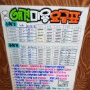 애니원애견미용 이미지