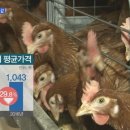 김기철 농장 이미지