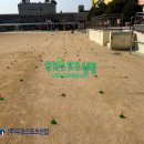 서울내발산초등학교 이미지