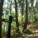 김용경로당 Daum카페