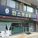 한스펫살롱 이미지