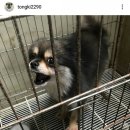 다올여행사 이미지