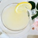 네이처스토리 이미지