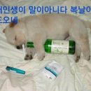 복 - 서구 대영로 37 | 복