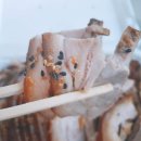 쪽쪽이족발경산점 이미지