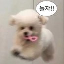 강동베이커리 이미지