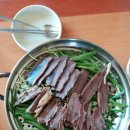 대광리 Daum카페