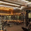 휘트니스 풀바디 이미지