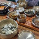 (주)두번째 | 6월 둘째 주) 두 번째 스위치온 다이어트 후기와 개집사 일상