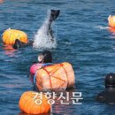 제주 와싱톤 이미지