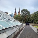 델브리또 | <7> 처음으로 혼자 가본 호주, 시드니