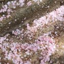 학청 경로당 이미지