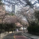 단단그림책작업실