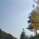 돼지문화원 카라반 이미지