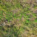 루니농장 이미지